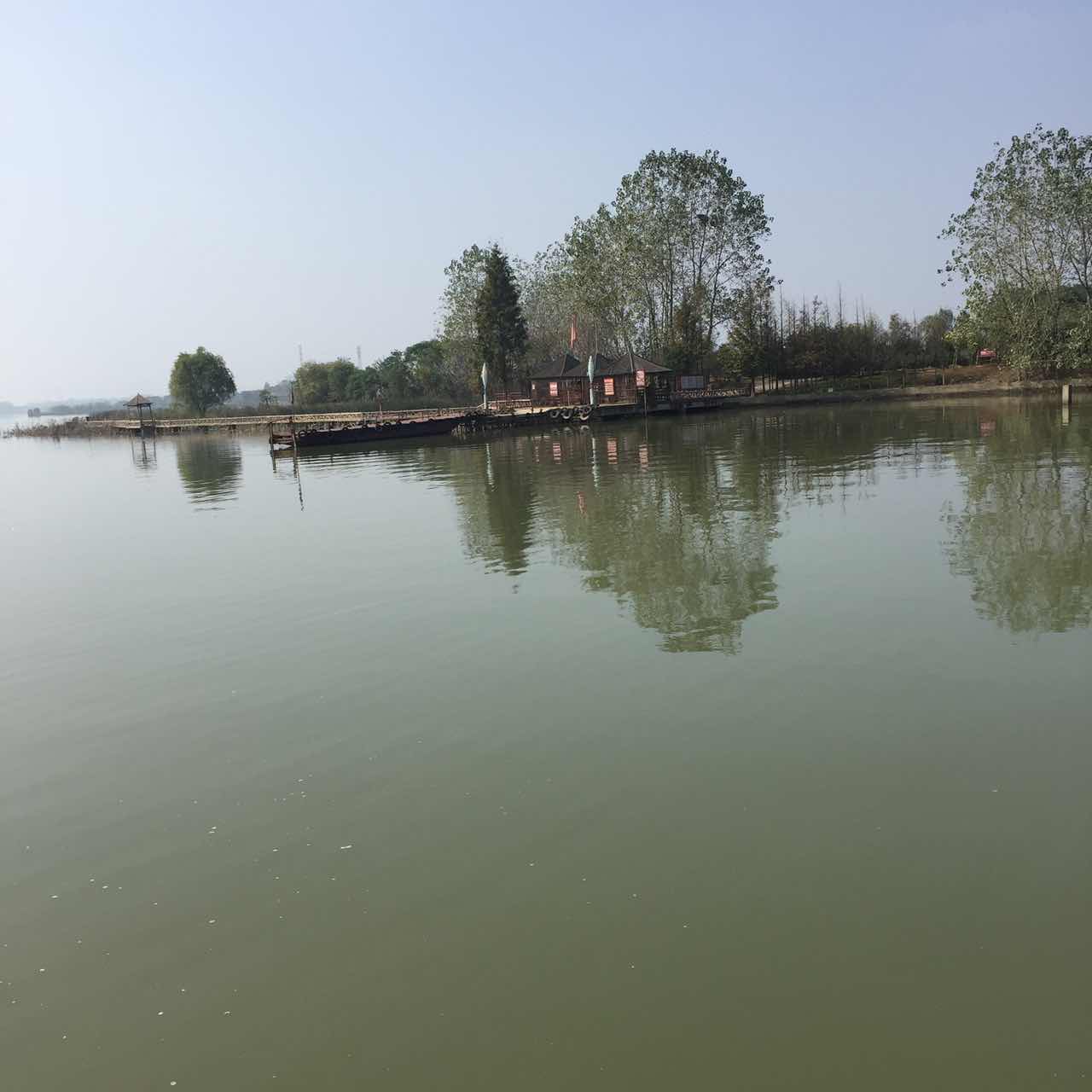 大趾头长，先死娘，我的脚大，趾头长，我的母亲嫌弃了我