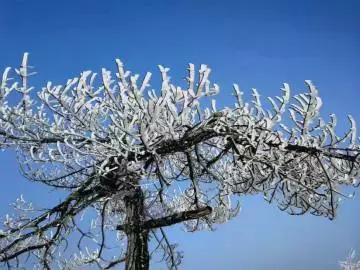 杭州大明山滑雪,杭州的雪什么时候来