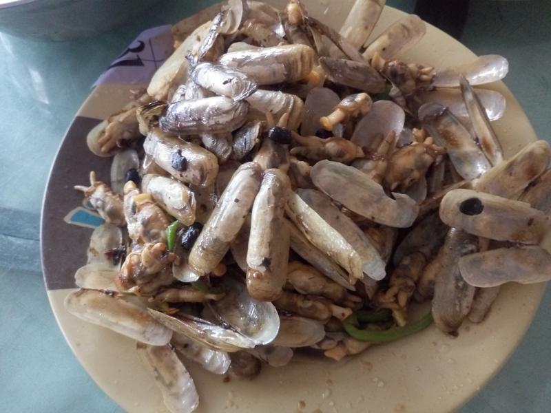 广东省沙扒湾游玩攻略,阳江沙扒湾游记