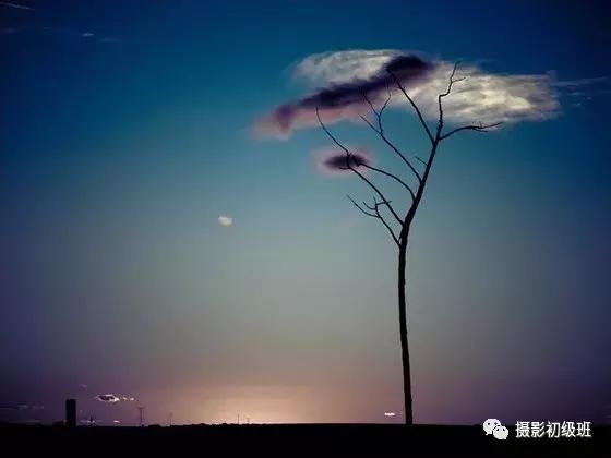 摄影构图技巧和细节入门,摄影基础知识入门构图书籍推荐