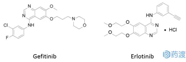 egfr突变非小细胞肺癌临床试验,EGFR肺癌