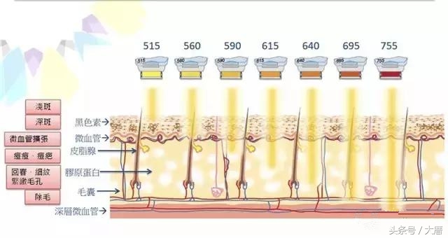 七种网红美容仪,深扒抖音网红美肤