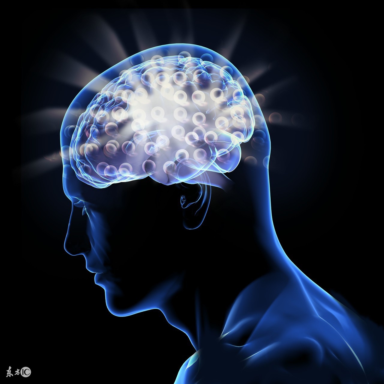 决胜未来的三种人：创新者、连接者和领导者