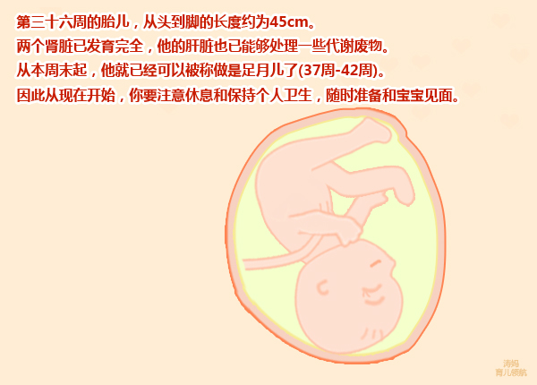 怀孕9周肚皮紧绷是怎么回事,孕妇怀孕9个月肚子特别紧