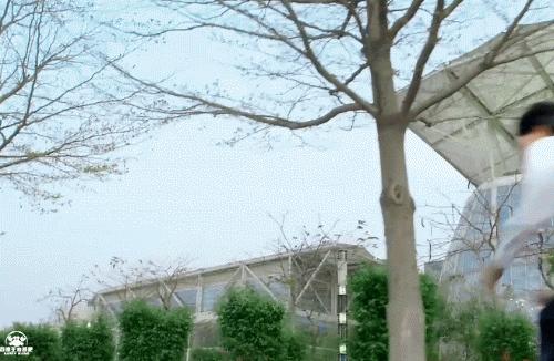 王俊凯会像苍鹰一样倔强,小螃蟹在王俊凯面前可以有多乖