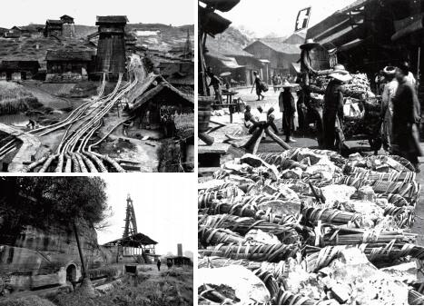 盐企改革最新方案,全国盐改后盐业企业情况