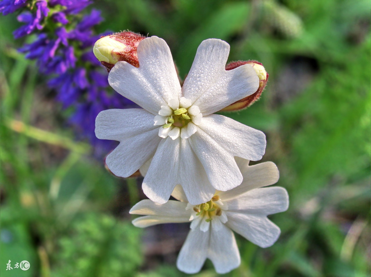 活法第3章：善良而不懦弱,顺从而不失勇敢