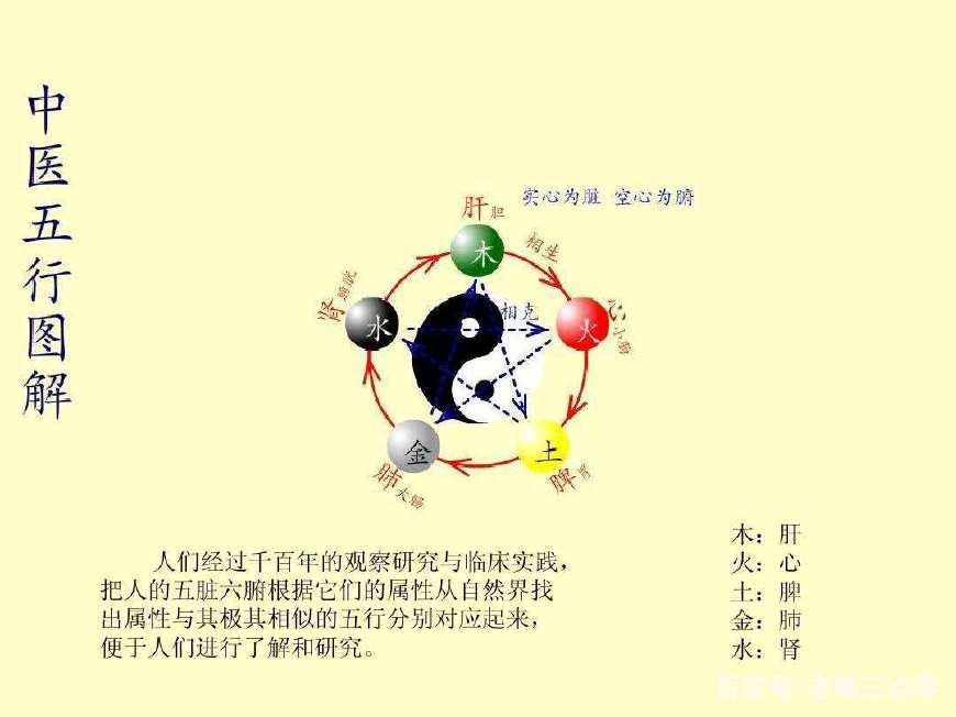 五千年养生食疗,五千年中国养生文化