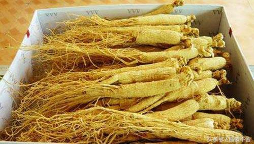 人参和西洋参要间隔多少时间服用,人参西洋参炖什么最好