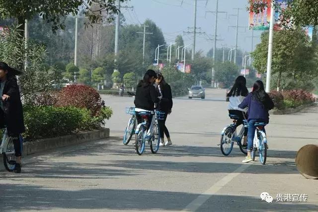 贵港双人共享单车,贵港新出的共享单车