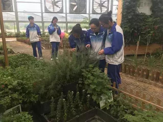 崂山二中学校,青岛市崂山区第二中学怎么样