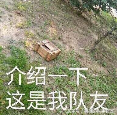 你连小裙子都还没有，可是盒子都开始有皮肤了！羞耻吗？