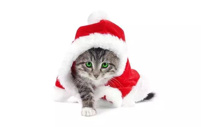 饰品店开店技巧,小饰品开店攻略