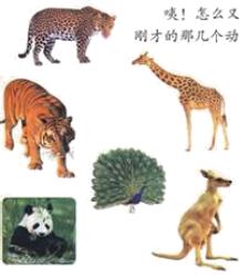 最经典的一年级下册看图写话训练,一年级语文上册期末试卷看图写话