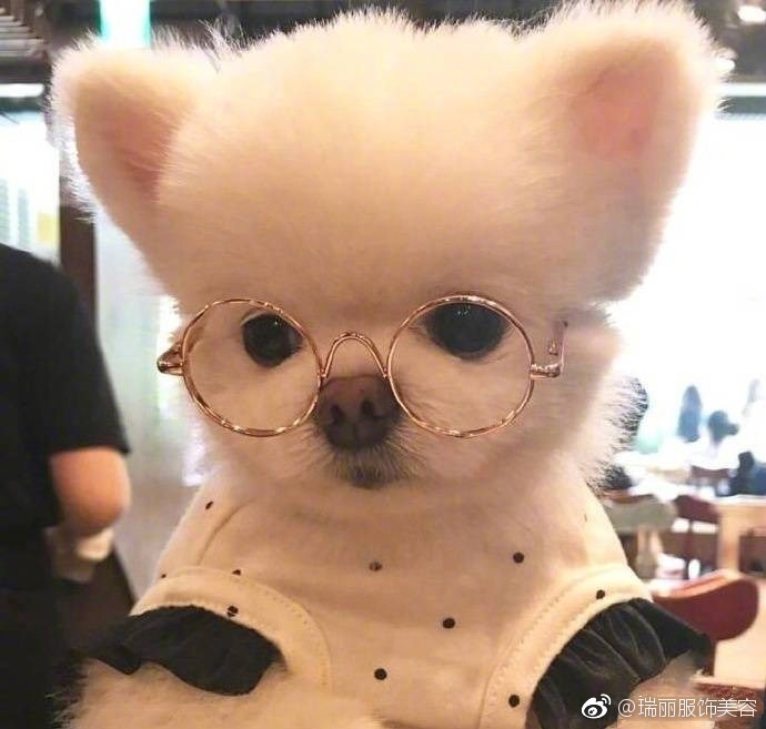 宁波一女子被风吹进河里 (女子被风吹进河里)