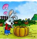 最经典的一年级下册看图写话训练,一年级语文上册期末试卷看图写话