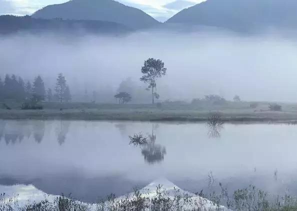 叶向东作品全集在线阅读,叶向东江苏