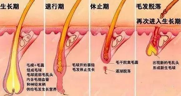 发际线不好看怎么剪,如何拯救90后的发际线