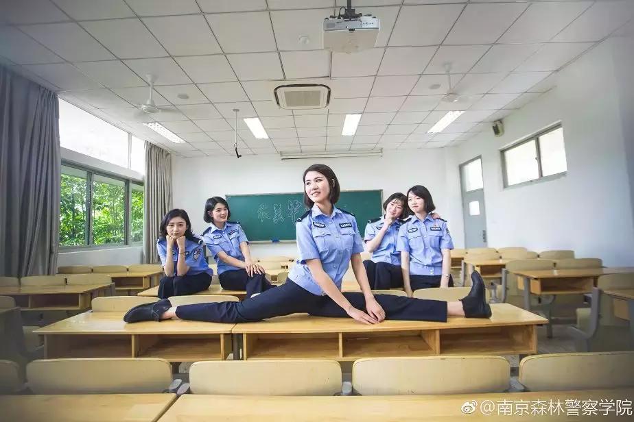 我骄傲我是南航人,我骄傲我是一棵树原文