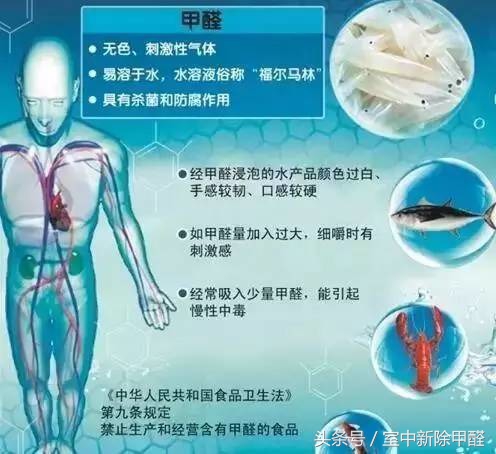 怎么判断海鲜泡过甲醛,如何鉴别甲醛海鲜