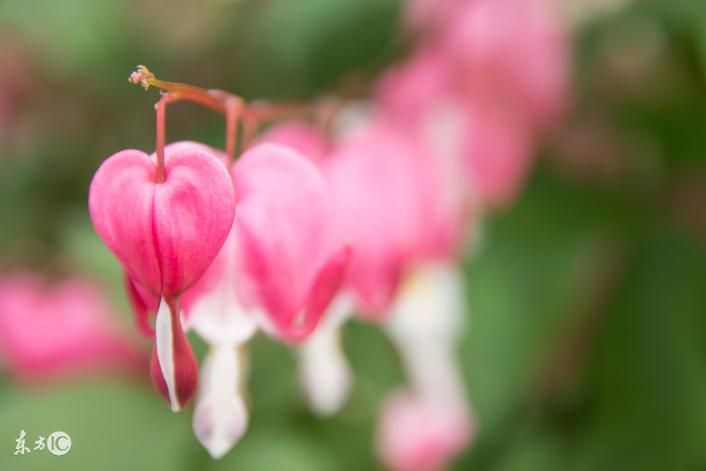 兄弟情感故事,兄弟情深的背后故事