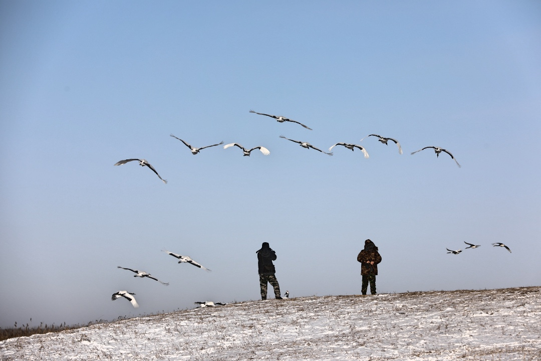 齐齐哈尔附近一日游,齐齐哈尔景点一日游路线
