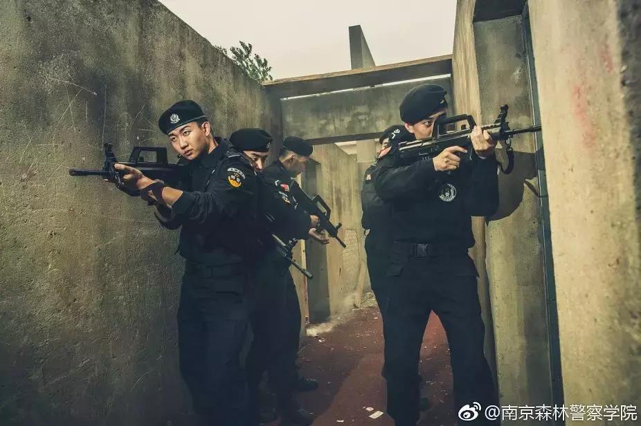 我骄傲我是南航人,我骄傲我是一棵树原文