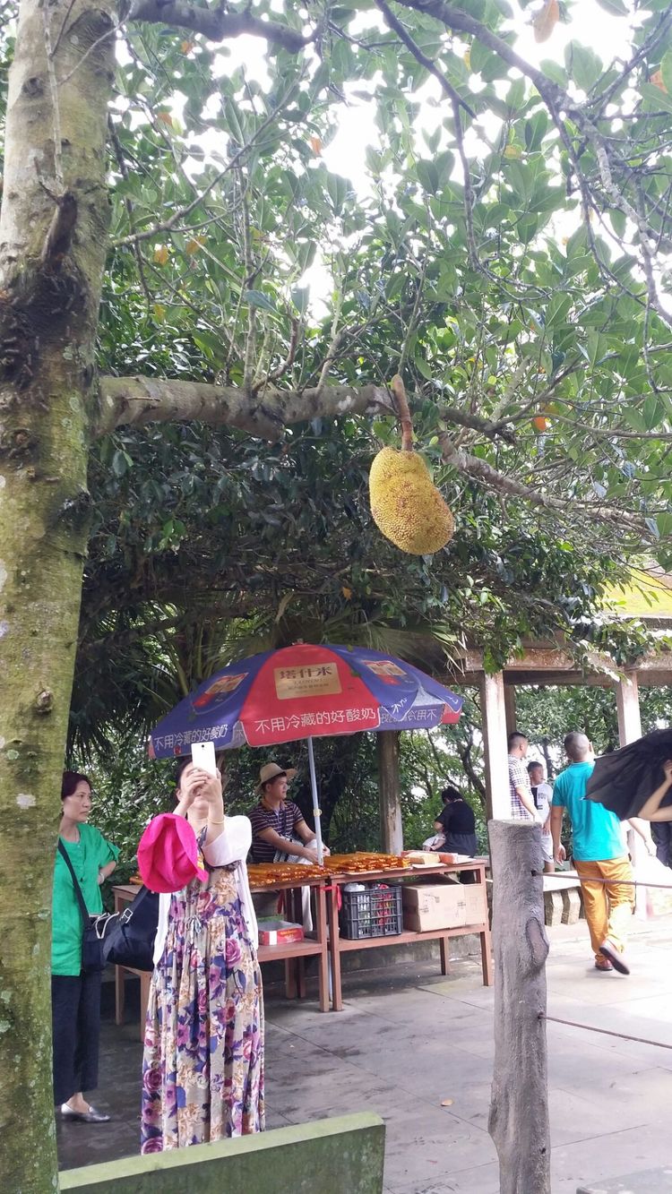 生日礼物女儿6-10岁,海南旅游送长辈礼物