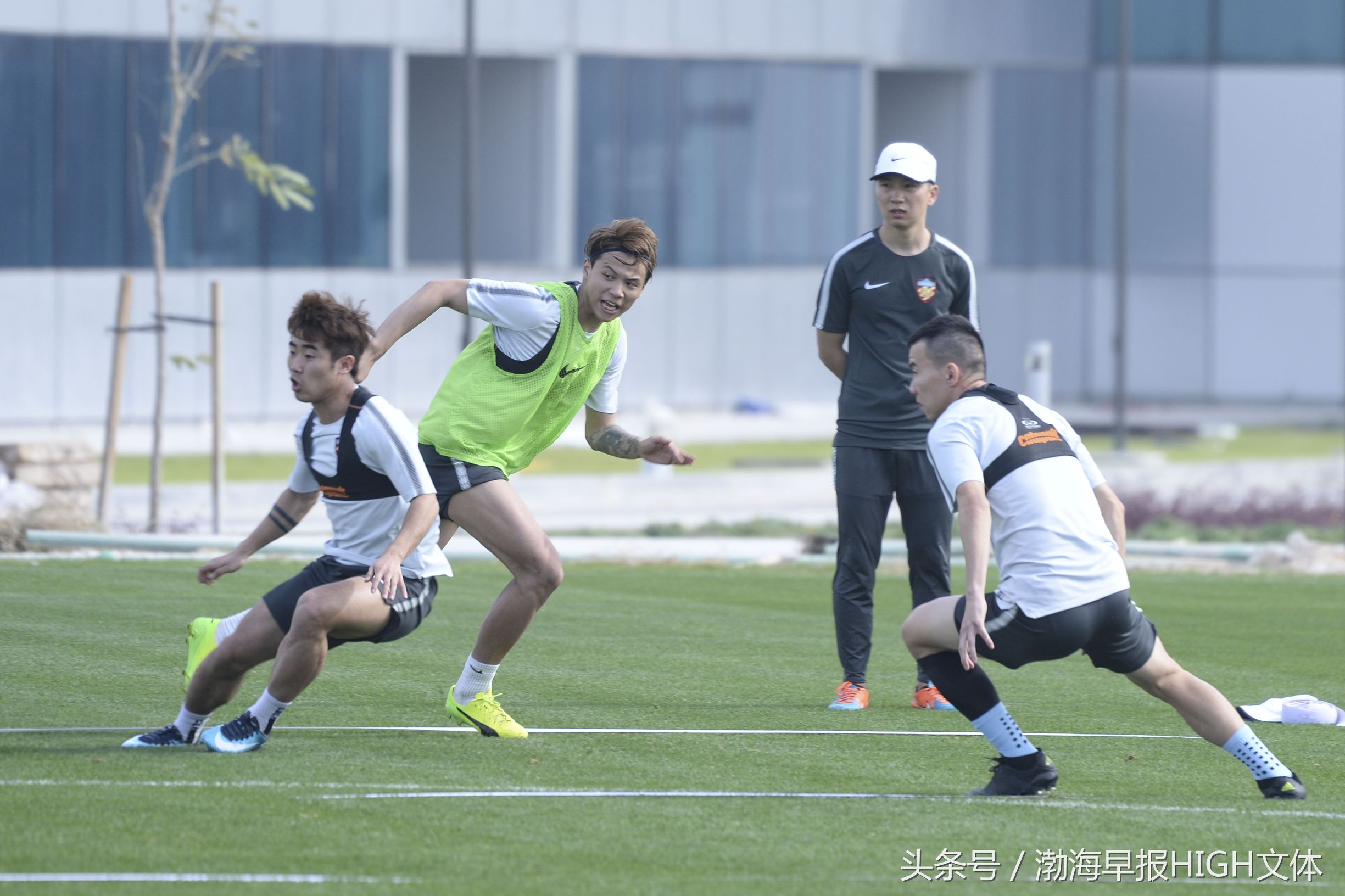 权健新后卫,权健主力