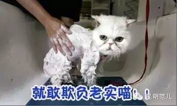 十二星座深度解释超准,深度解析十二星座