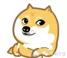 豪雨展开车轮战，快来get涉水行车新技能！