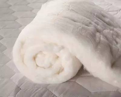 不用晒被子就能消灭螨虫,被褥上的螨虫真的很可怕吗