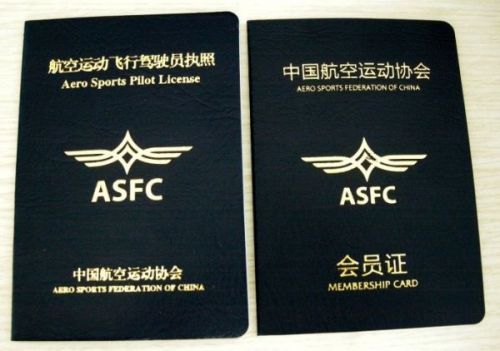 警惕身边的危险事,航空危险事件