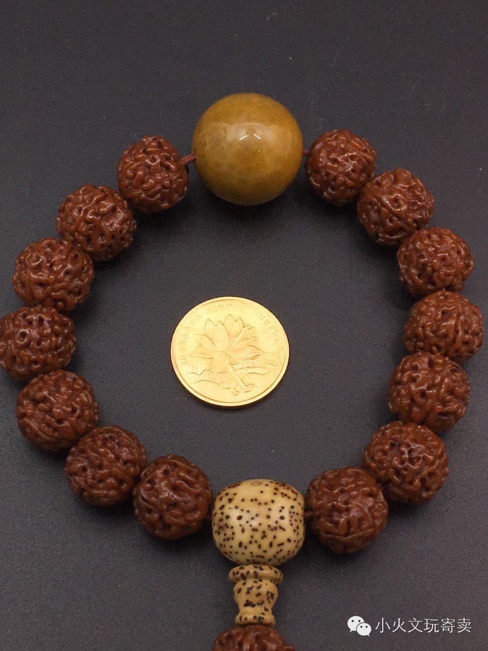 金刚与落地红,落地红对比金刚菩提