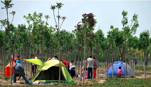 天津郊游野餐的地方,天津野餐