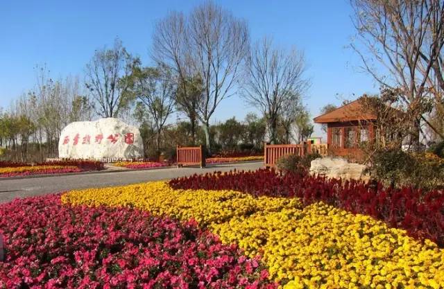 天津郊游野餐的地方,天津野餐