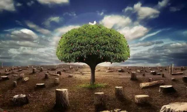 每日音乐心情,世界地球环境日音乐