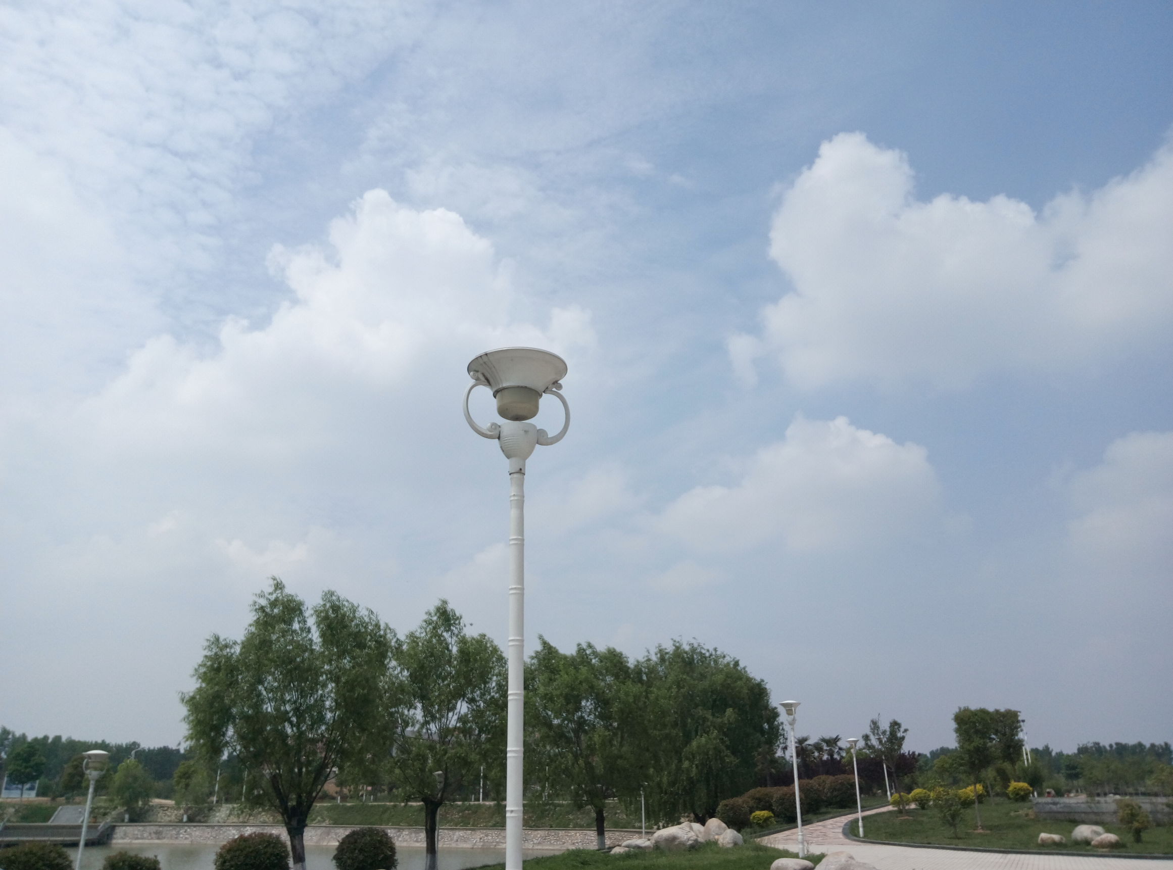 五一赏月季花来宛城,南阳月季大观园五一