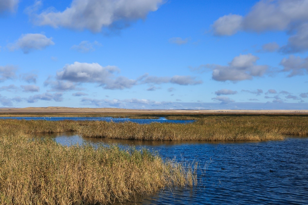 2015开车去米兰完整线路攻略