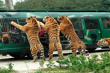 天津五一冷门自驾游推荐,五一天津亲子游十佳去处