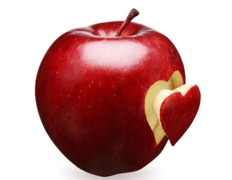 2016欧洲杯巡礼葡萄牙,2016年欧洲杯决赛豪门盛宴