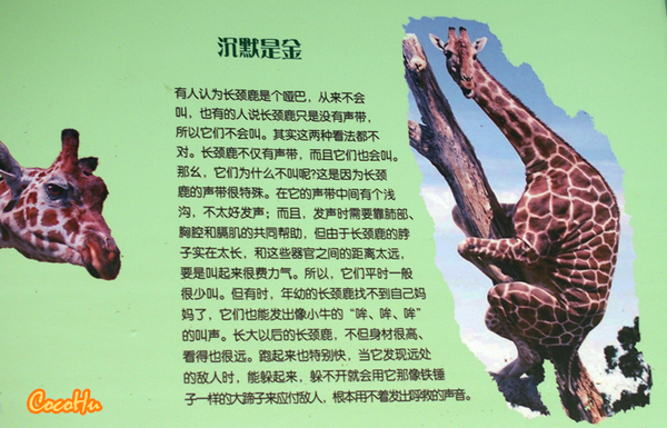 中南百草动物园,中南百草园萌宠乐园