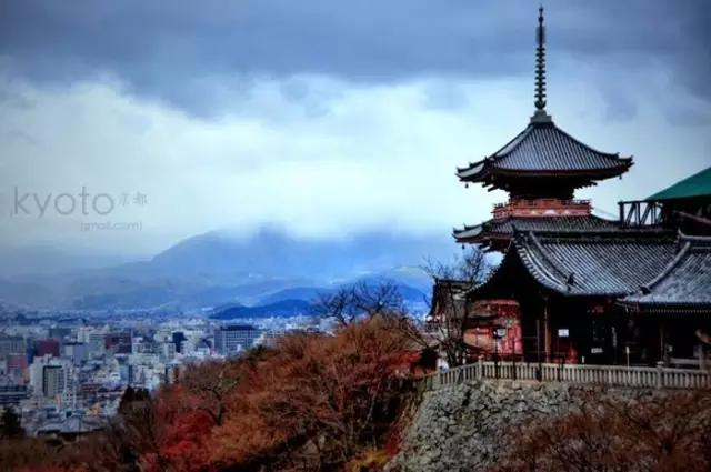 曼莉专栏｜葡萄*妞小**随妈游日本