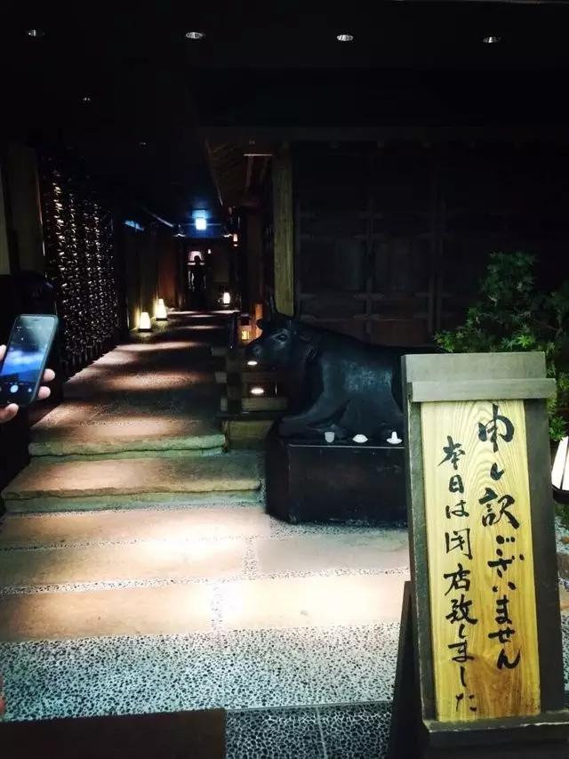 曼莉专栏｜葡萄*妞小**随妈游日本