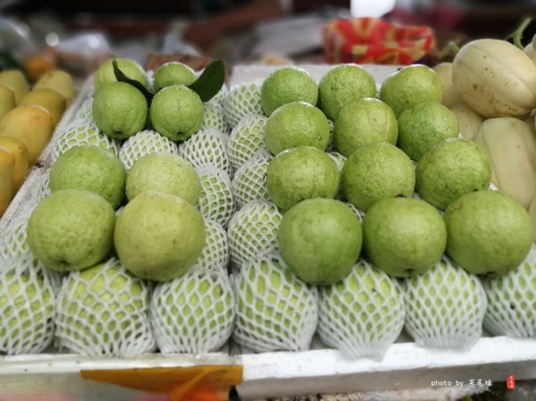 珊瑚海日本,陪你去看海底世界