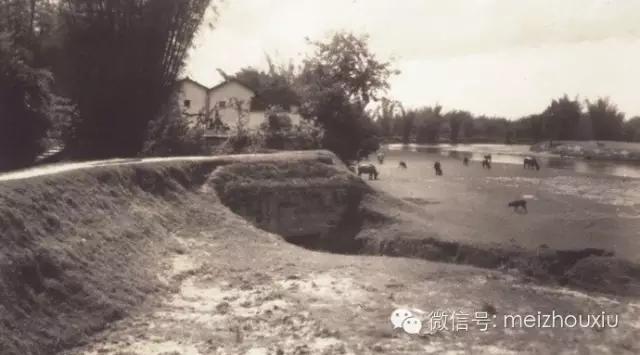 客家五州是哪里,客家五洲风情