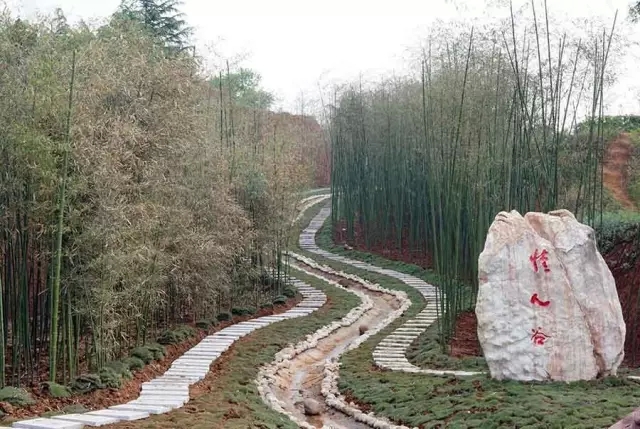 赏玫瑰摘西瓜这个假期有福喽