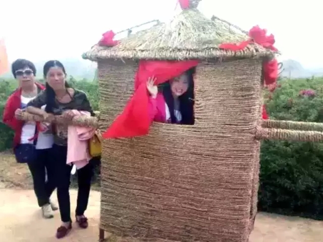 赏玫瑰摘西瓜这个假期有福喽