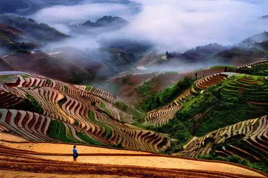 从茂名至广西一日游攻略,广西一日游攻略