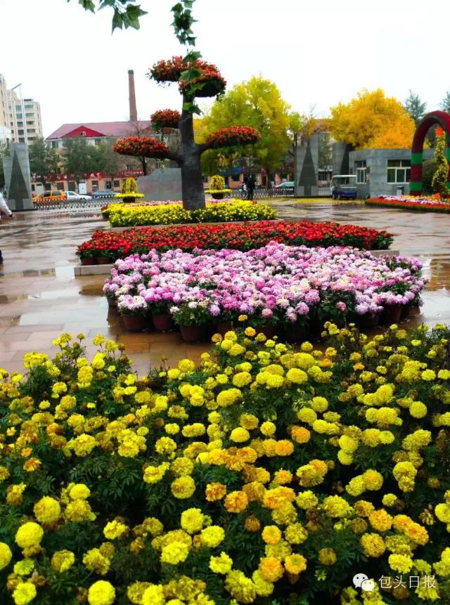 包头空气清新的地方,包头五一游玩好去处